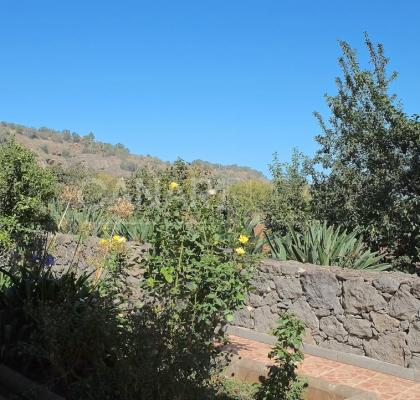 Finca La Palma I