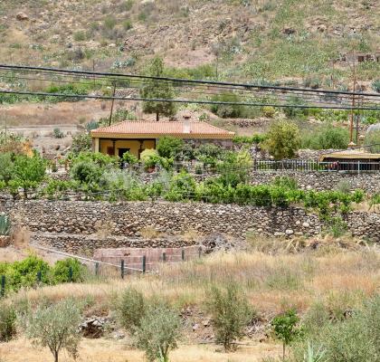 Casa Rural Las Colmenas