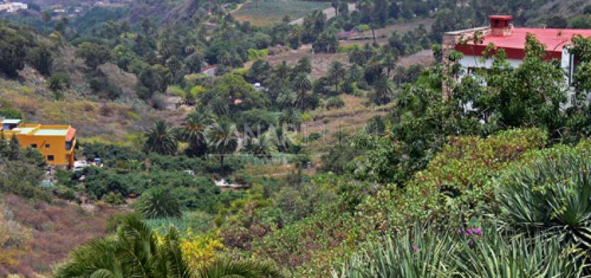 Paisaje Protegido Tafira